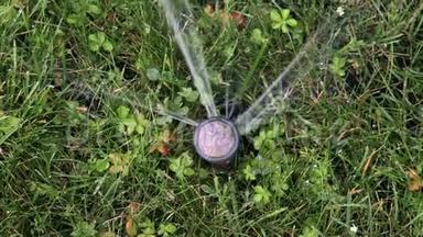 自动灌溉系统，草坪喷雾机在行动中浇草和<strong>植物</strong>，<strong>俯视</strong>
